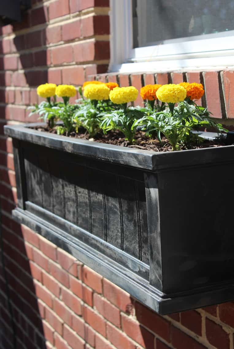 Backyard and patio makeover planter box