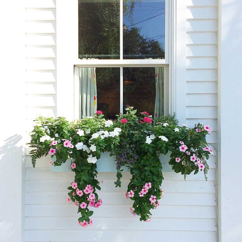 Charleston Window Box White on White