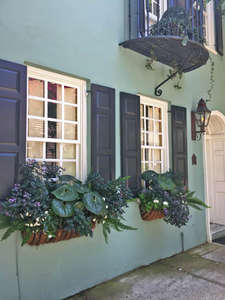 Charleston Window Box Green Building Black Shutters