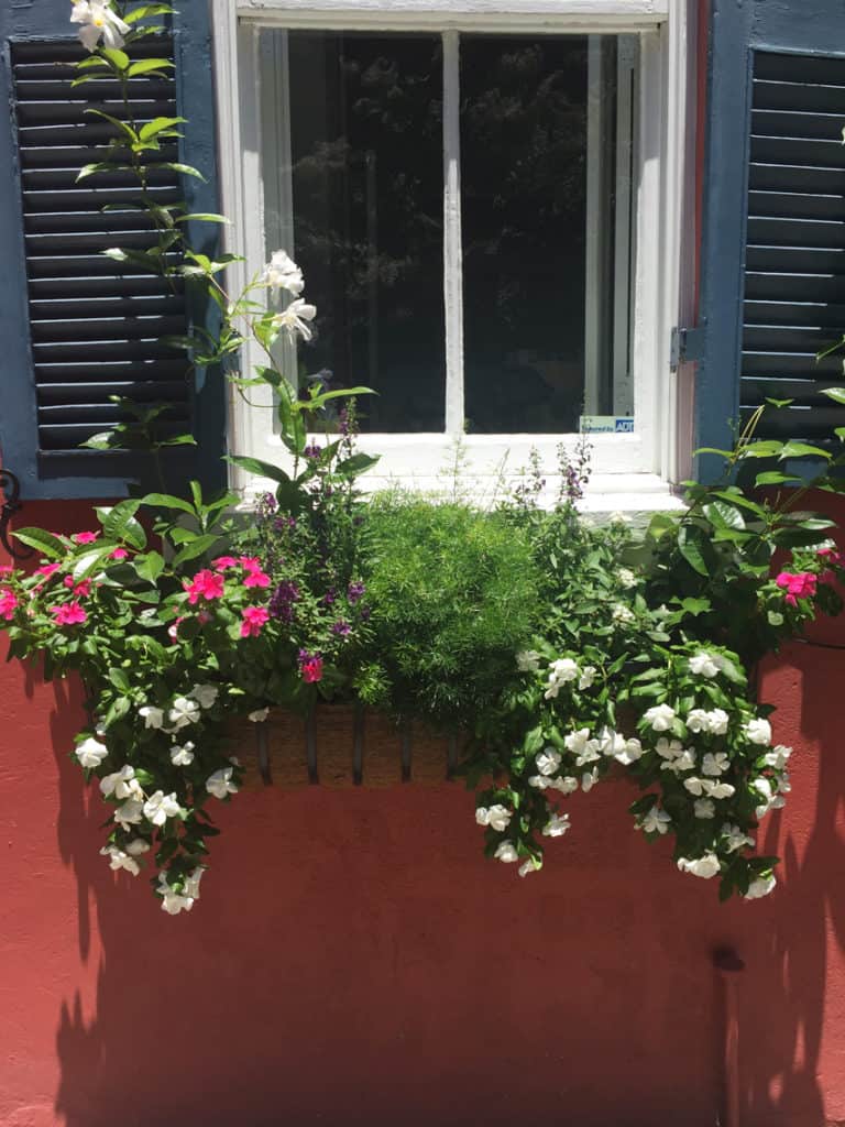 Charleston Window Boxes Red Building Pink Flowers