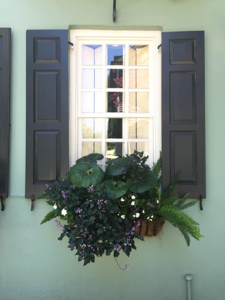 Charleston Window Box Green Monochromatic