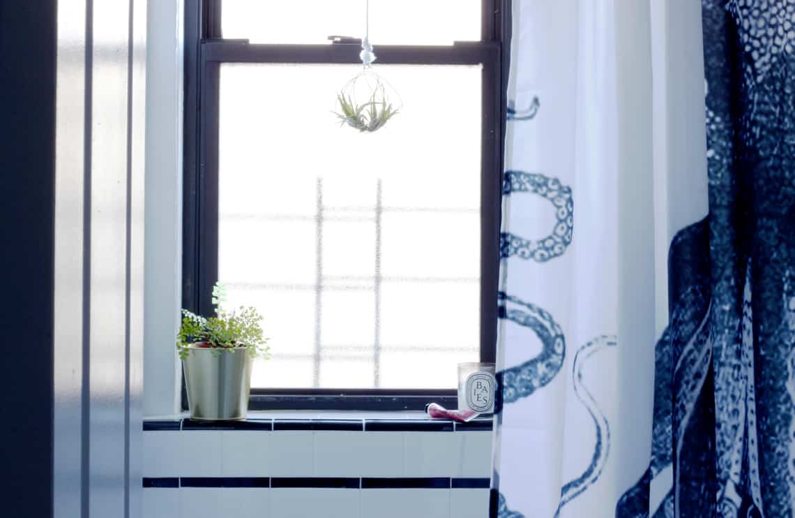 Home of the Month: Elaine's Stylish Brooklyn Studio bathroom