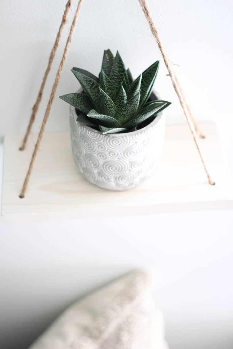 Dining Room Updates + A Refinished Table succulent