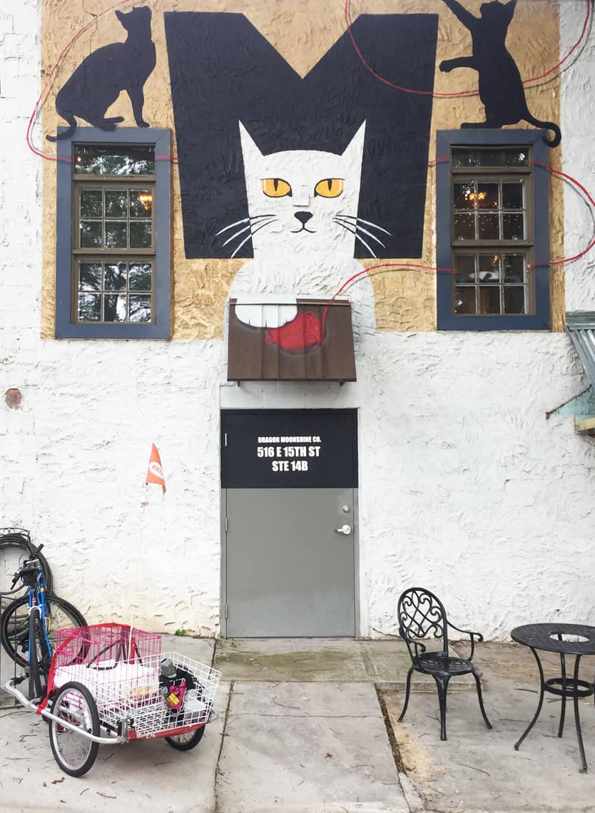 Local Spotlight: Mac Tabby Cat Cafe - Charlotte, NC out back