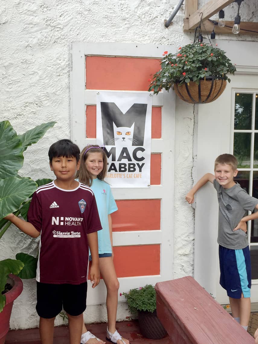 Local Spotlight: Mac Tabby Cat Cafe - Charlotte, NC door